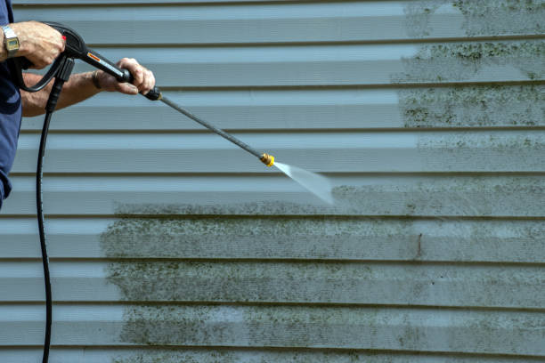 Best Patio and Deck Pressure Washing  in Boston, GA
