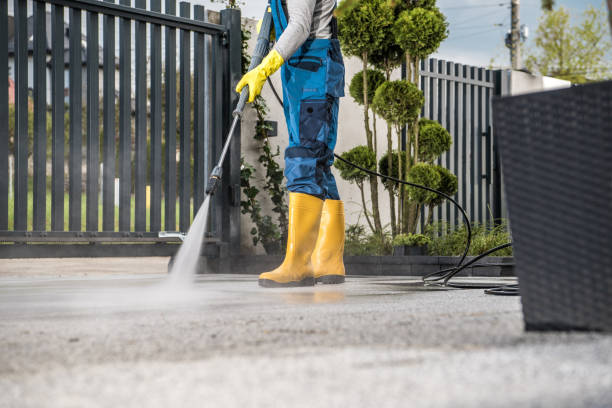 Best Roof Washing  in Boston, GA